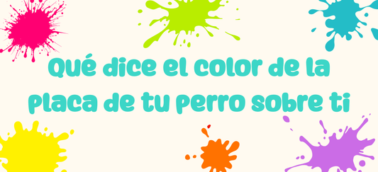 Qué dice el color de la placa de tu perro sobre ti 🐶🎨
