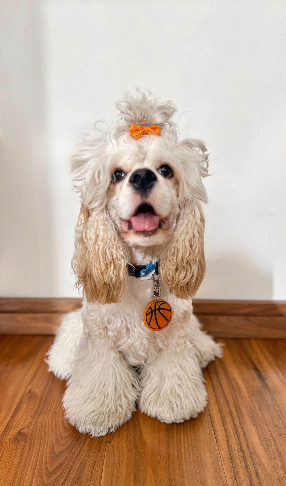 Placa de identificación personalizada para perro estilo balón de basquetbol | Diseño exclusivo y divertido de Munmun | Accesorios para perros con estilo