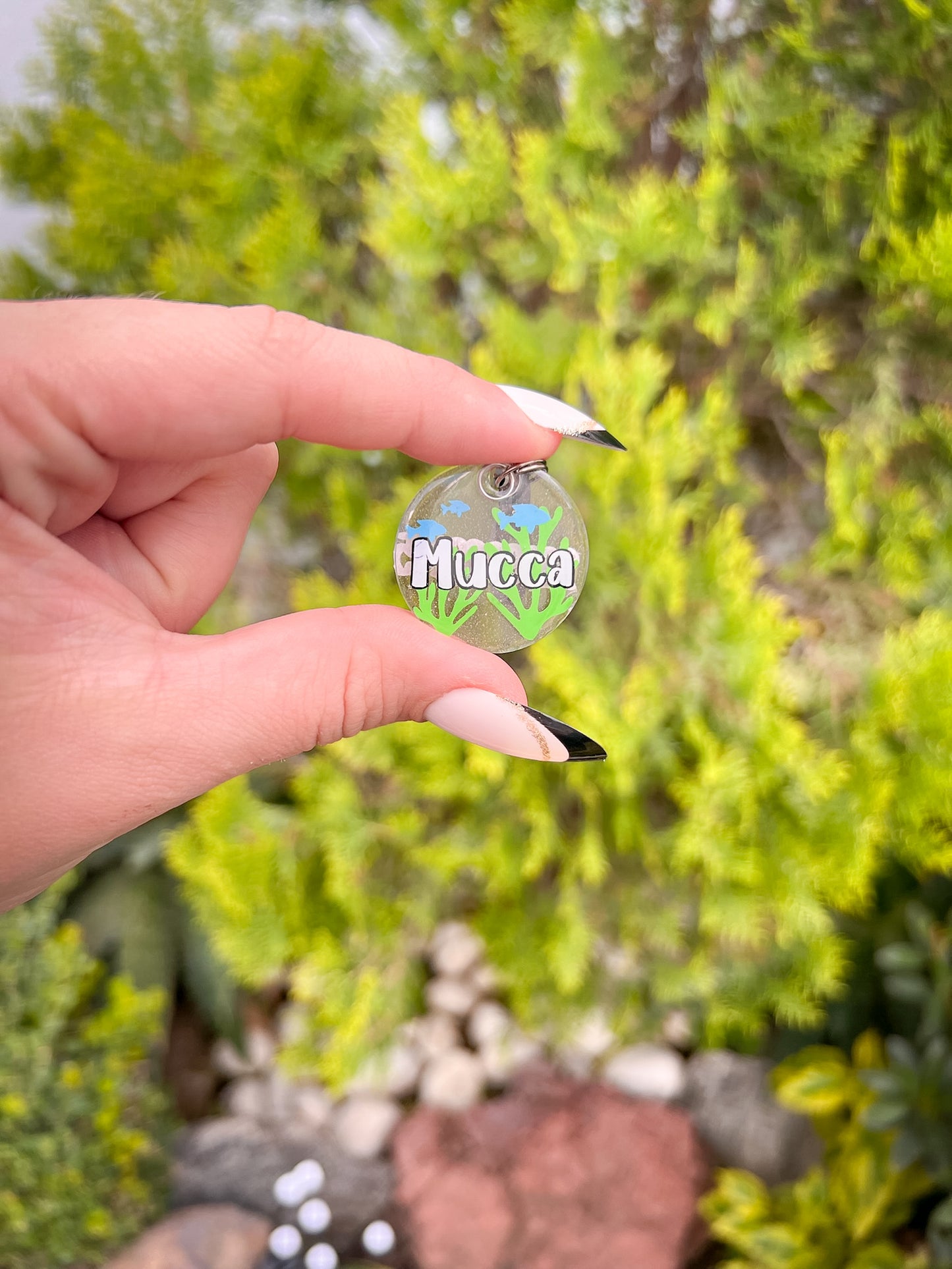 Placa verde personalizada con el nombre “mucca”, diseño natural de vida maritima y vibrante ideal para mascotas alegres.