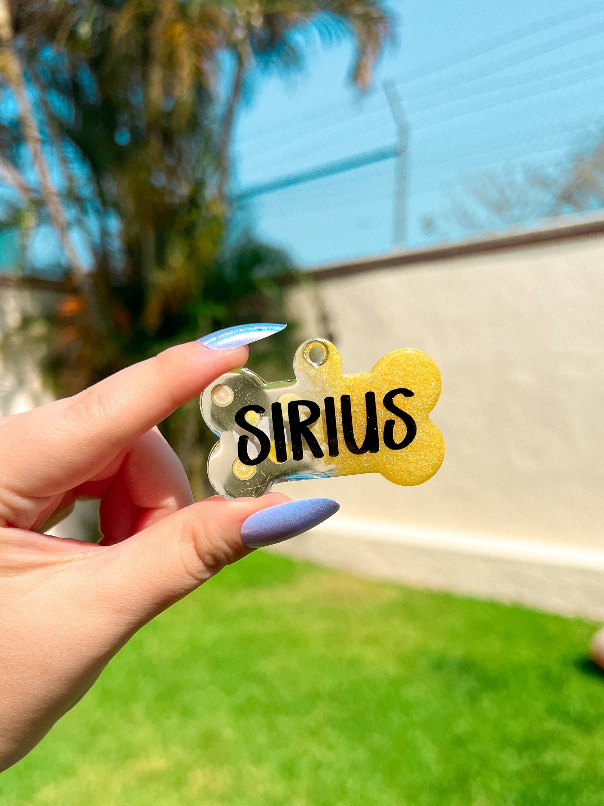 Placa amarilla con nombre Sirius en vinil negro. Diseño alegre y llamativo.