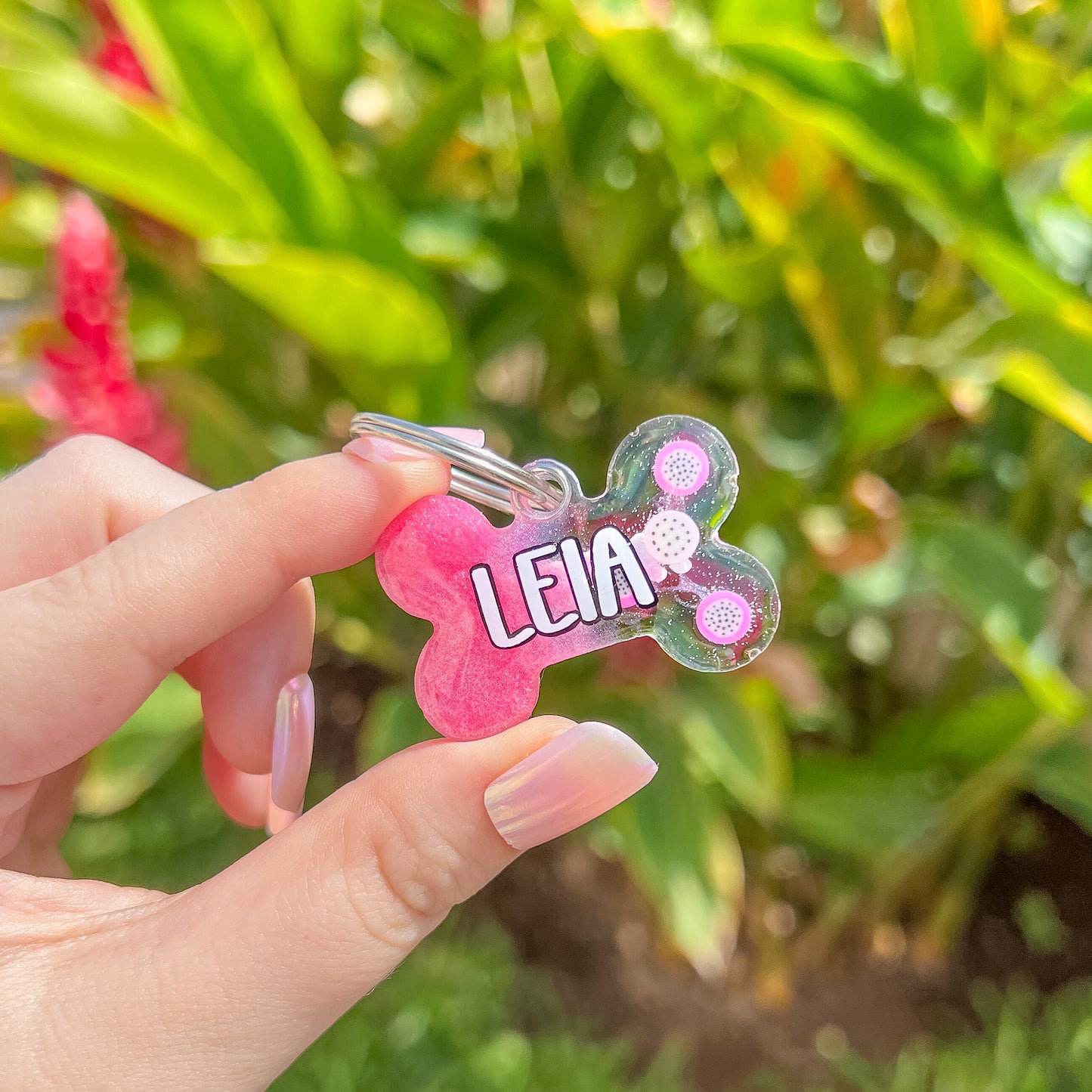 Placa rosa en forma de hueso con pitahaya