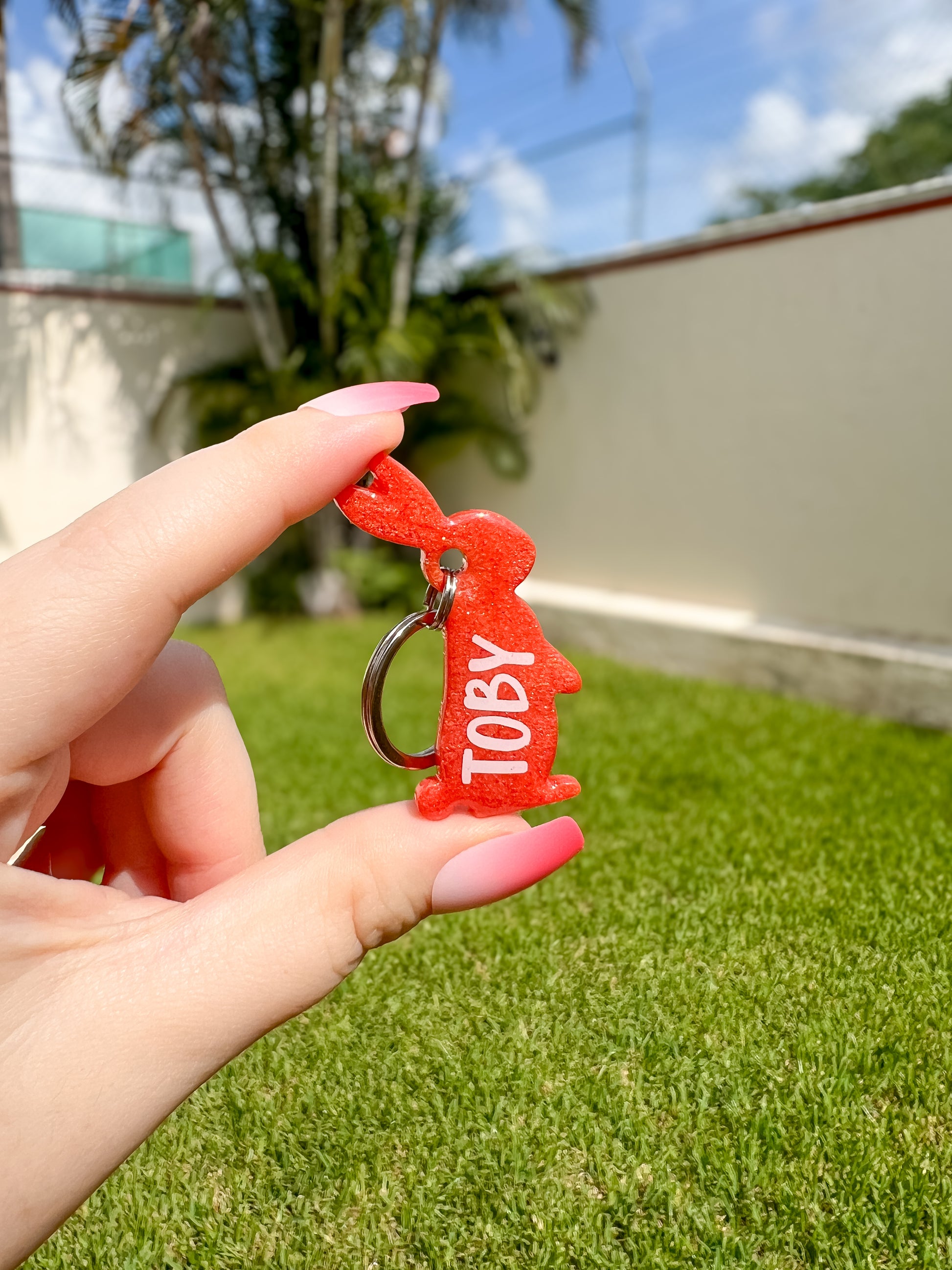 Placa roja con forma de conejo y nombre Toby. Diseño divertido y personalizado.