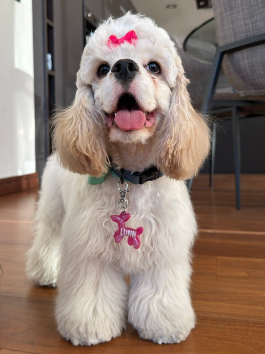 Placa decorativa en forma de perro globo. Estilo artístico y original para mascotas.