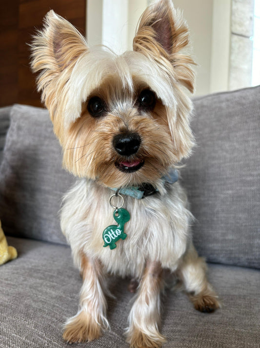 Yorkie con placa de tortuga verde personalizada. Accesorio original de Munmun.