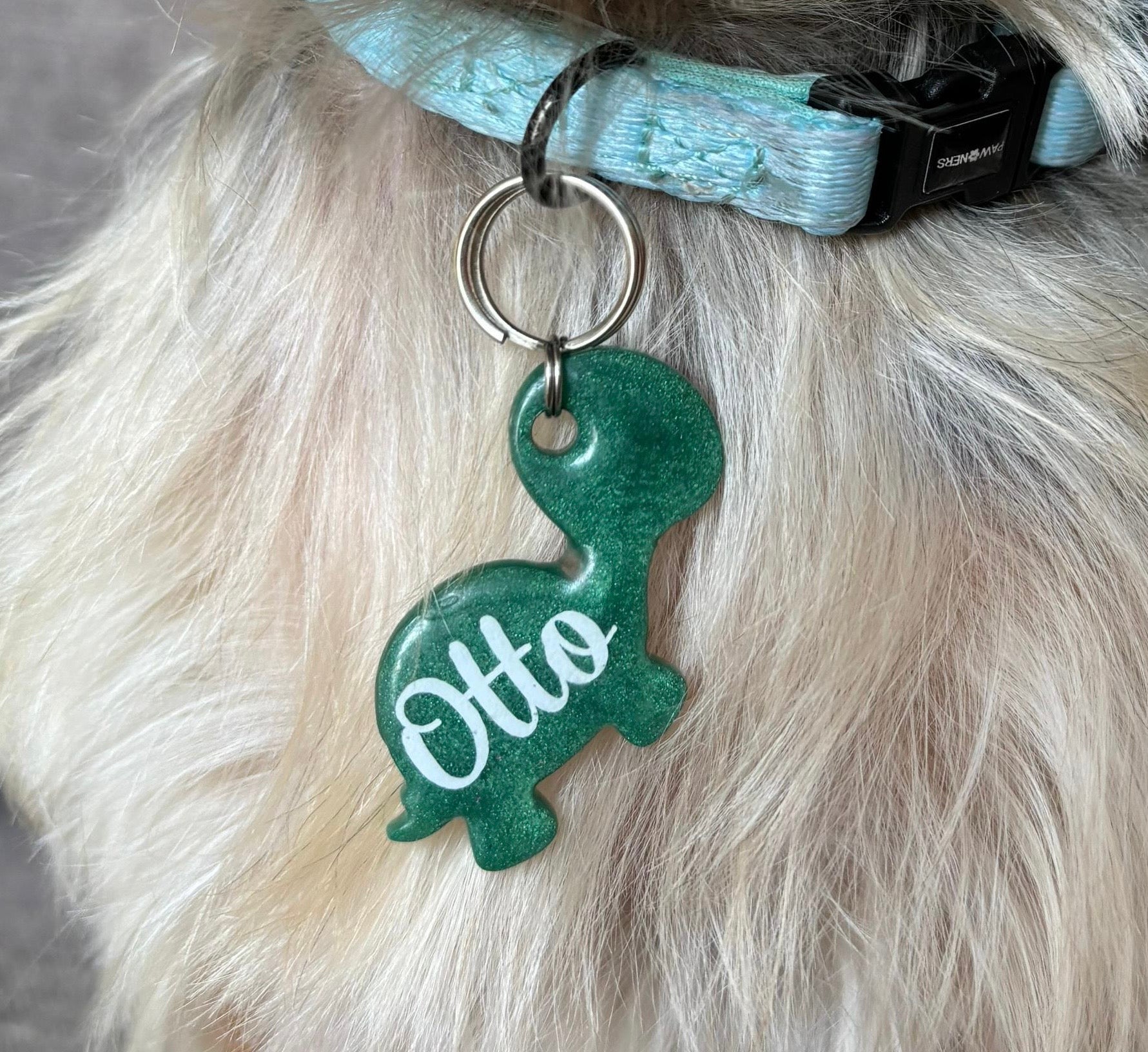 Placa en forma de tortuga verde colgando de collar azul. Diseño adorable.