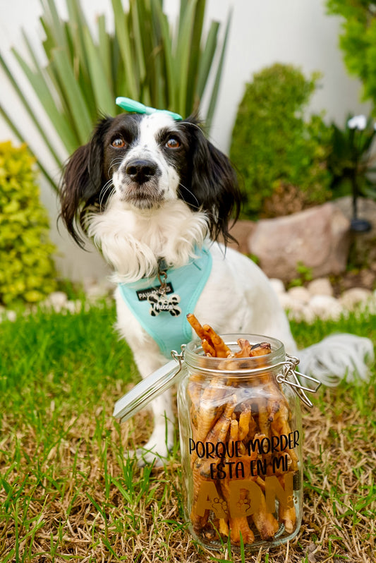 Perro con frasco personalizado con frase “Porque morder esta en mi ADN”. Frasco con diseño divertido para snacks.