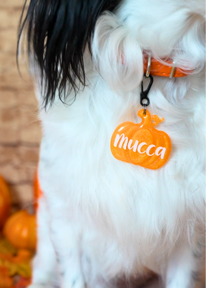 Placa de calabaza naranja con nombre Mucca para perro. Diseño temático de Halloween, vibrante y personalizado.
