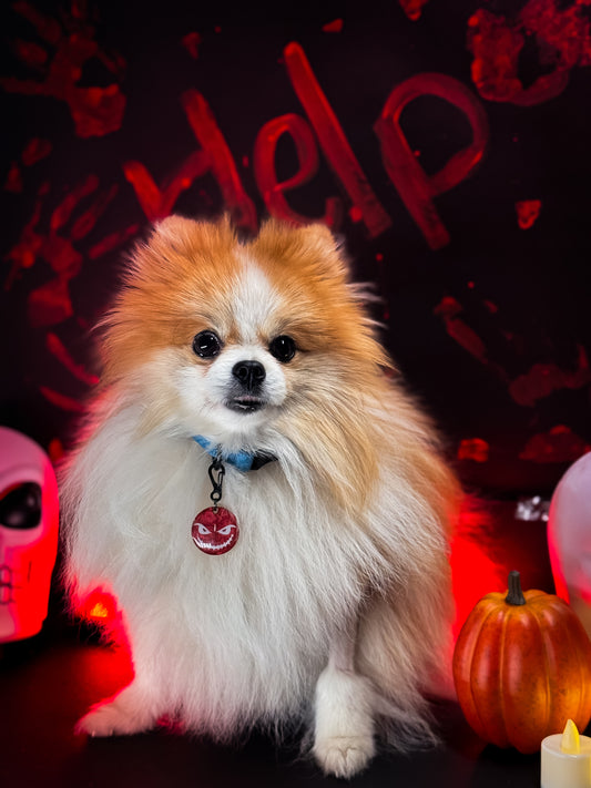 Pomerania con placa de cara de terror roja. Accesorio original de MunHalloween