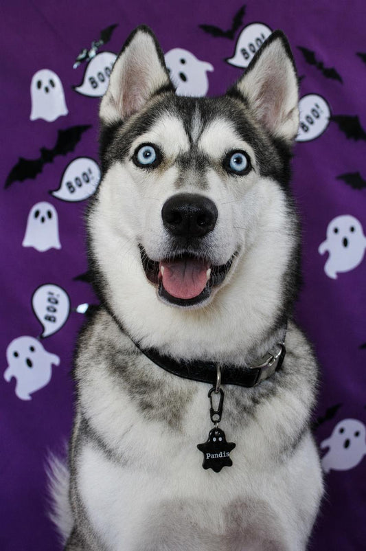 Munlloween Fantasma