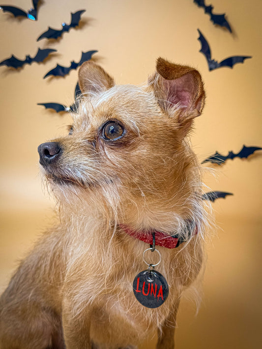 Placa personalizada “flesh” en tono negro con rojo, inspirada en salpicaduras de sangre. Diseño temático ideal para perritos atrevidos.