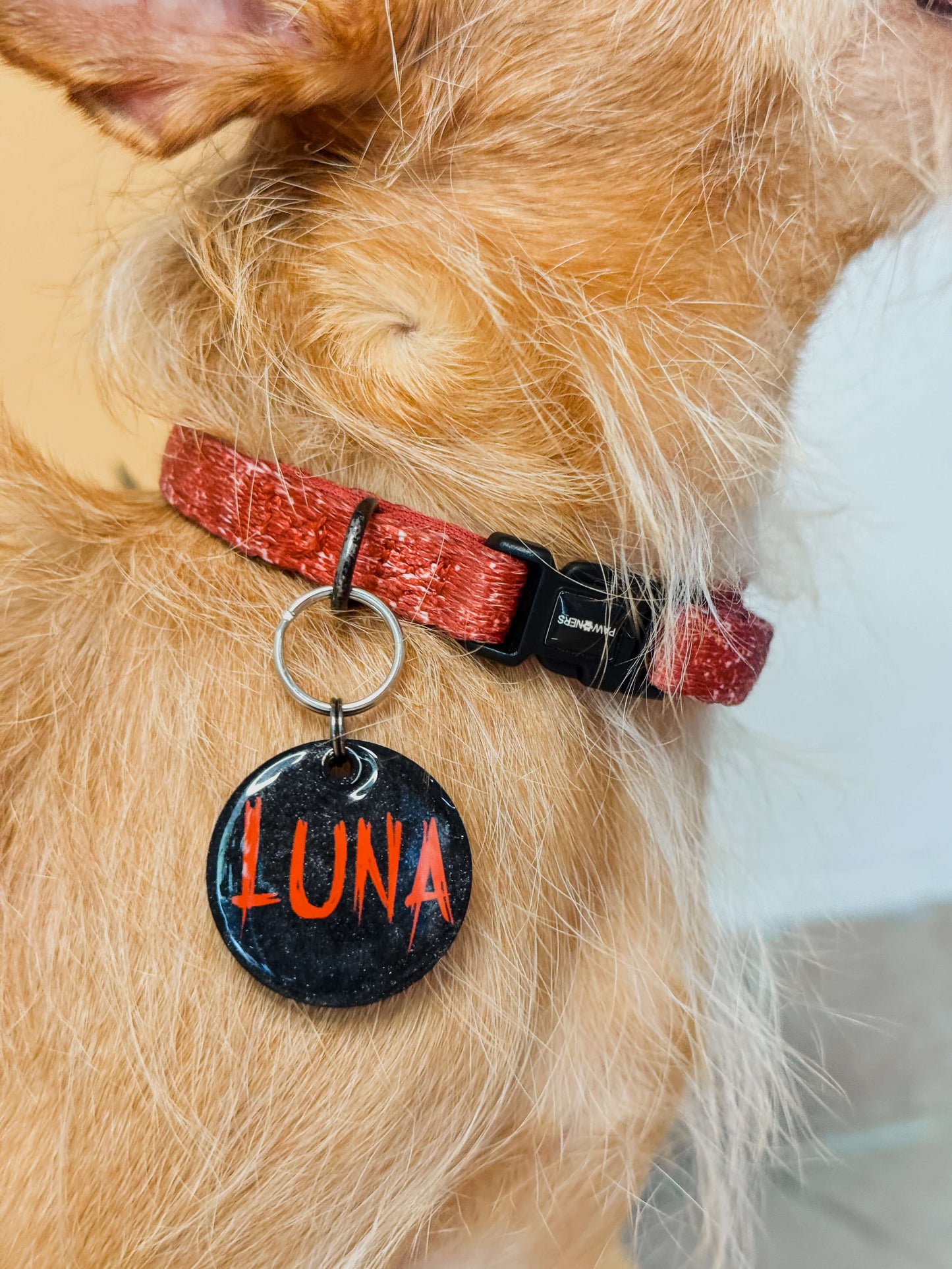 Placa redonda color rojo con nombre “Luna”. Diseño personalizado con toque oscuro y estilo único para mascotas con personalidad.