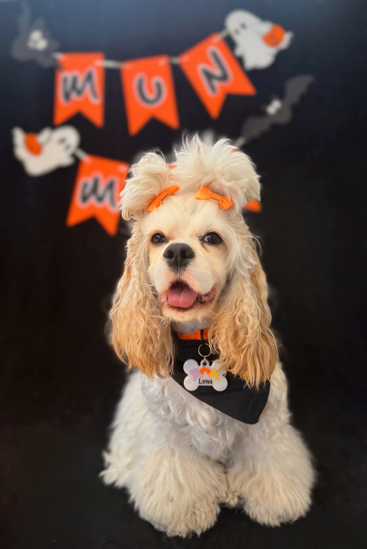 Perro con moño naranja y placa de Halloween de MunMun. Accesorio divertido para el spooky season.