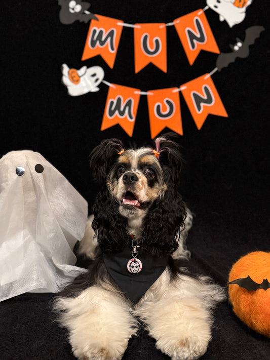 Perro con placa Halloween blanca con cara de villano. Accesorio temático ideal para la spooky season de MunMun.