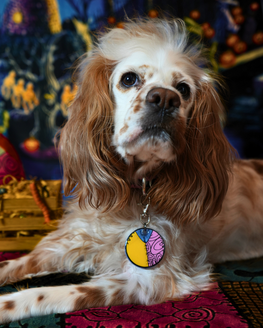Perro con placa redonda inspirada en Sally de Nightmare Before Christmas. Diseño colorido y llamativo ideal para Halloween.