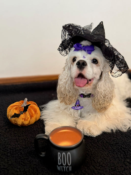 Munlloween Sombrero