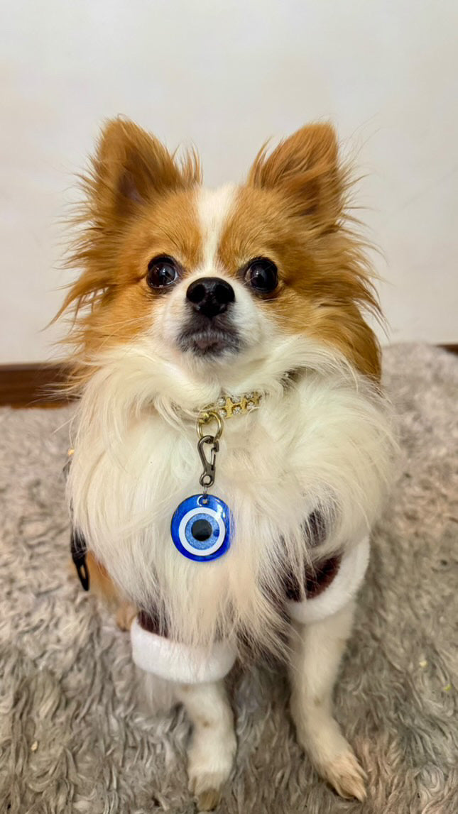 Placa de identificación para perro con diseño de ojo turco. Protección y estilo en un solo accesorio.