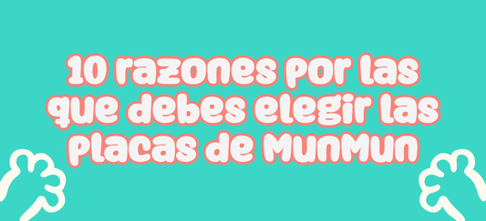 10 razones por las que debes elegir las placas de MunMun