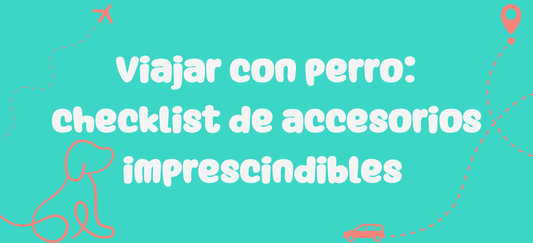 Viajar con perro: checklist de accesorios imprescindibles 🐶✈️