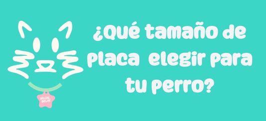 ¿Qué tamaño de placa elegir para tu perro? 🐾✨