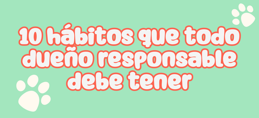 10 hábitos que todo dueño responsable debe tener 🐾❤️