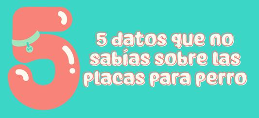 5 datos que no sabías sobre las placas para perro