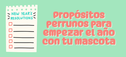 Propósitos perrunos para empezar el año con tu mascota 🐾✨