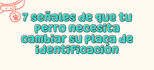 7 señales de que tu perro necesita cambiar su placa de identificación