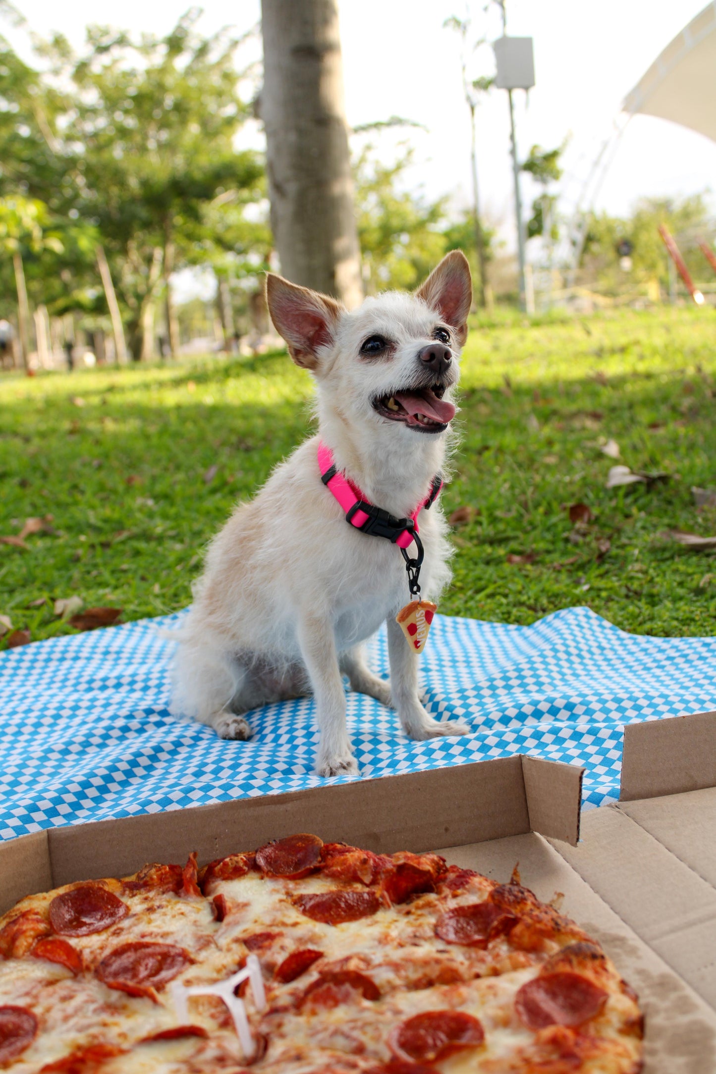 MunFood Pizza