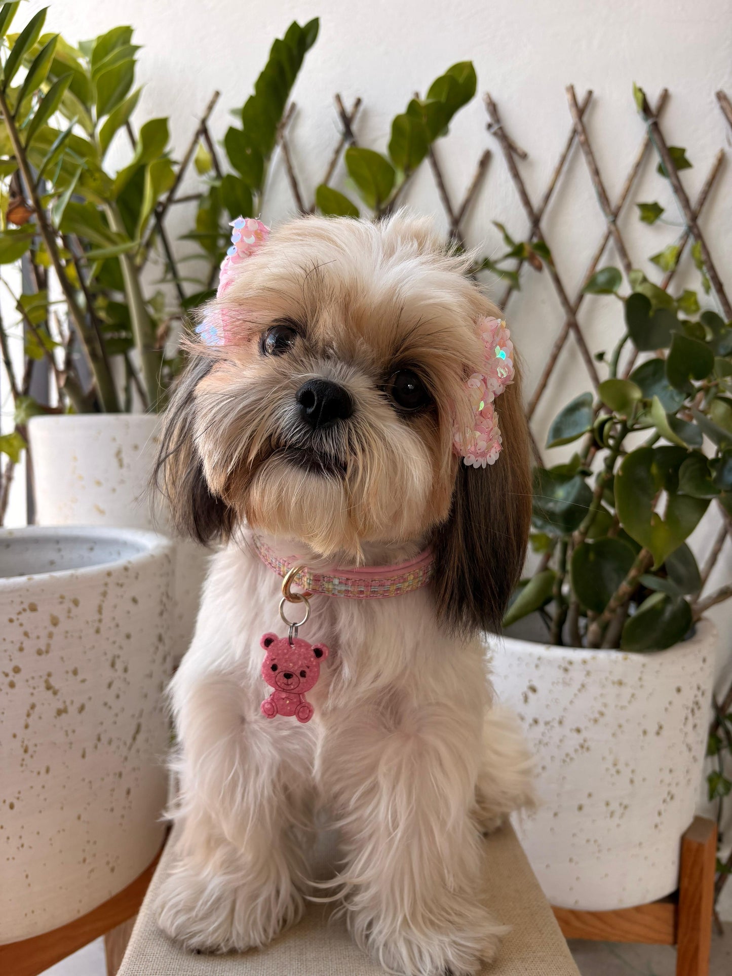 Munimals Osito