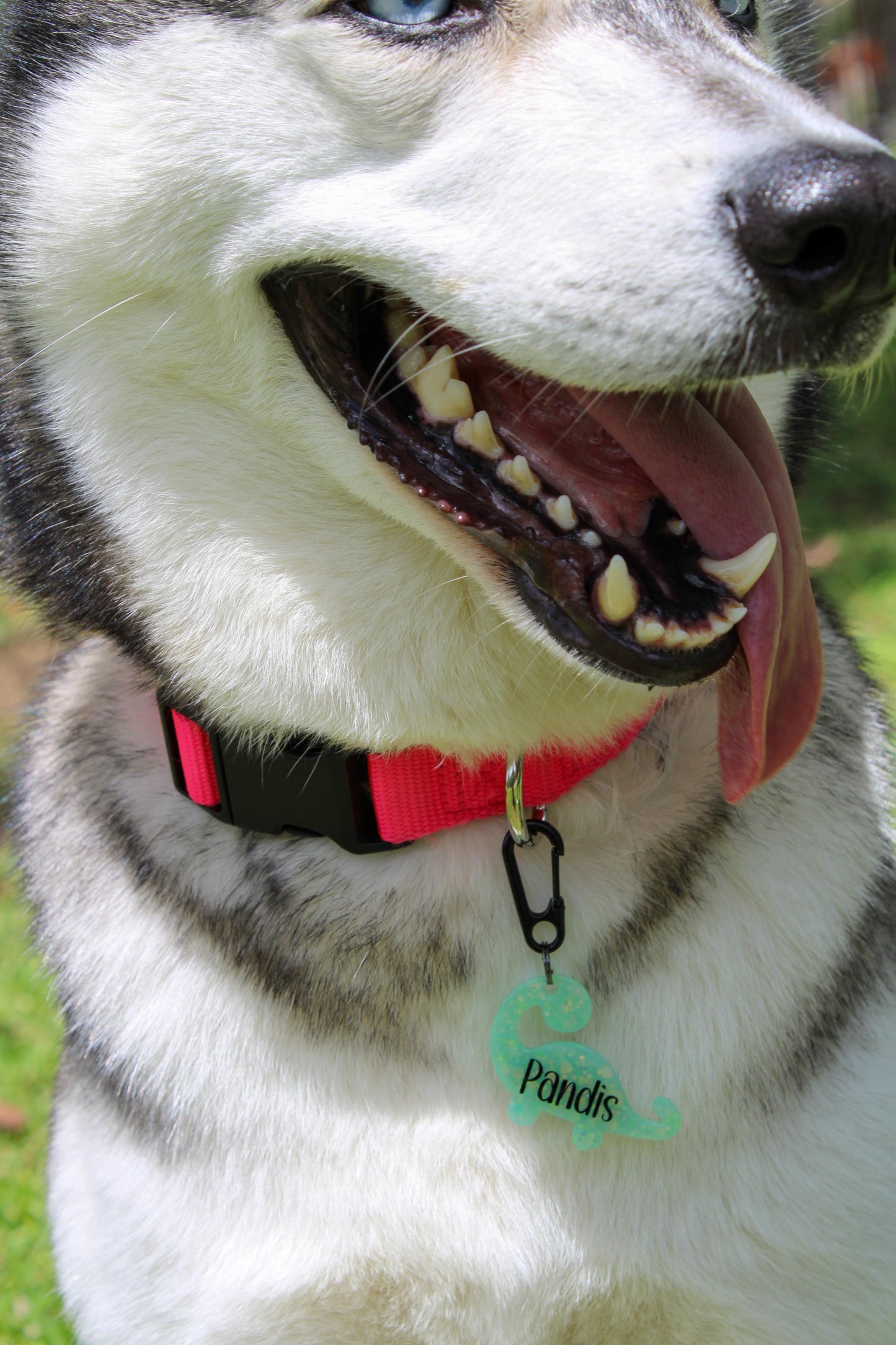 Munimals Happy Dino