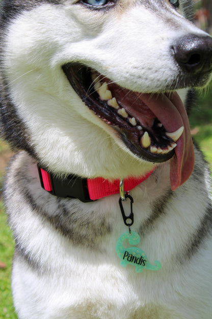 Munimals Happy Dino