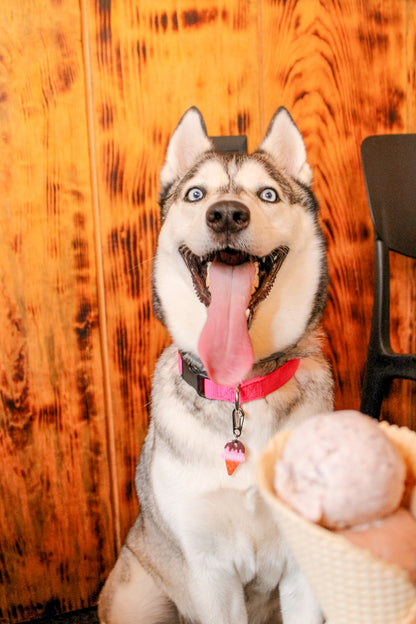 MunFood Helado