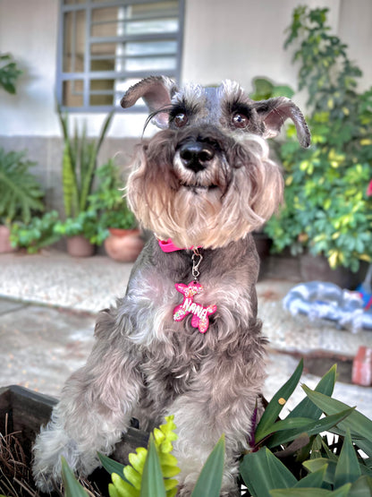 Munimals Perro
