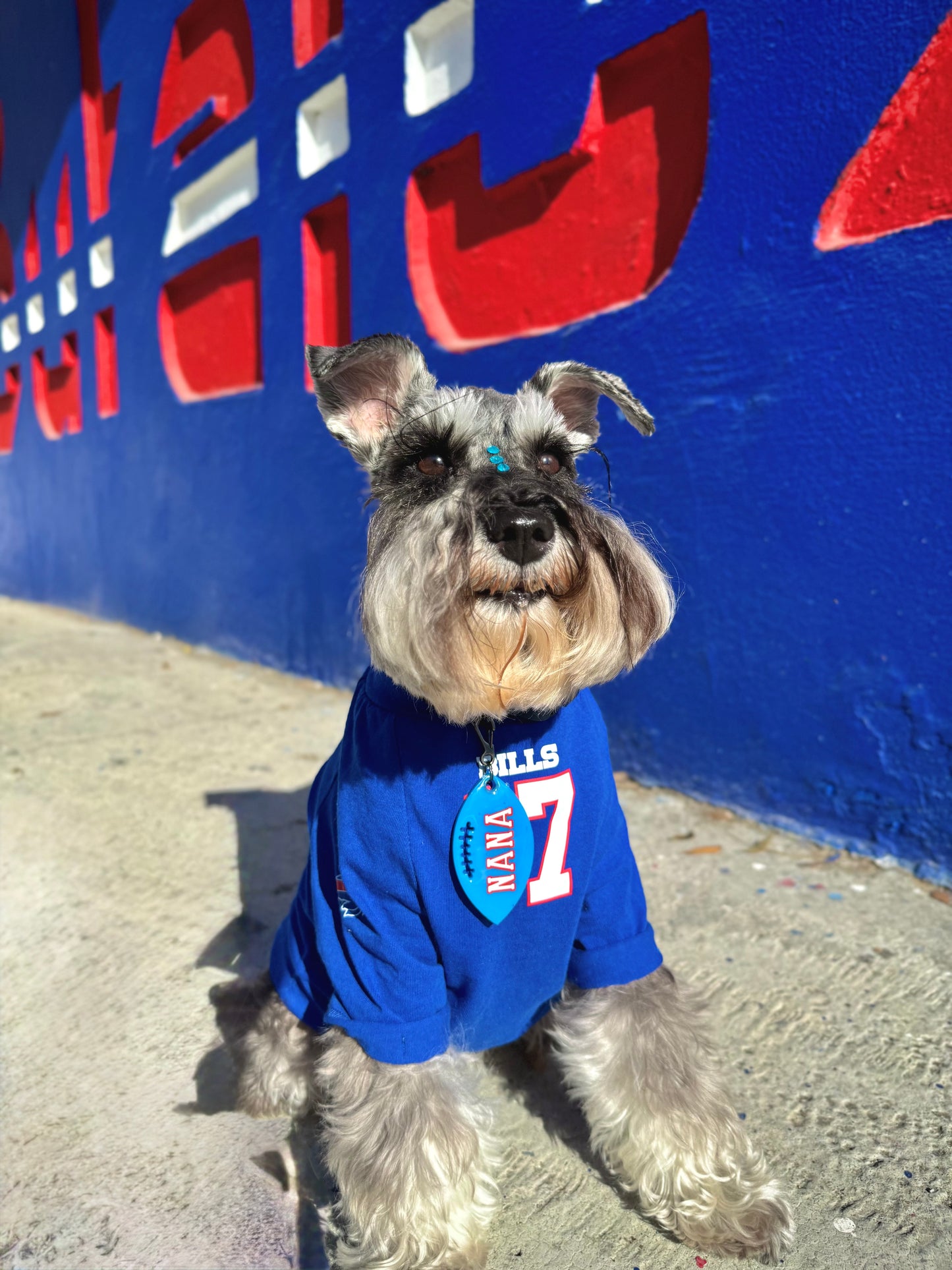 MunBall Touchdown