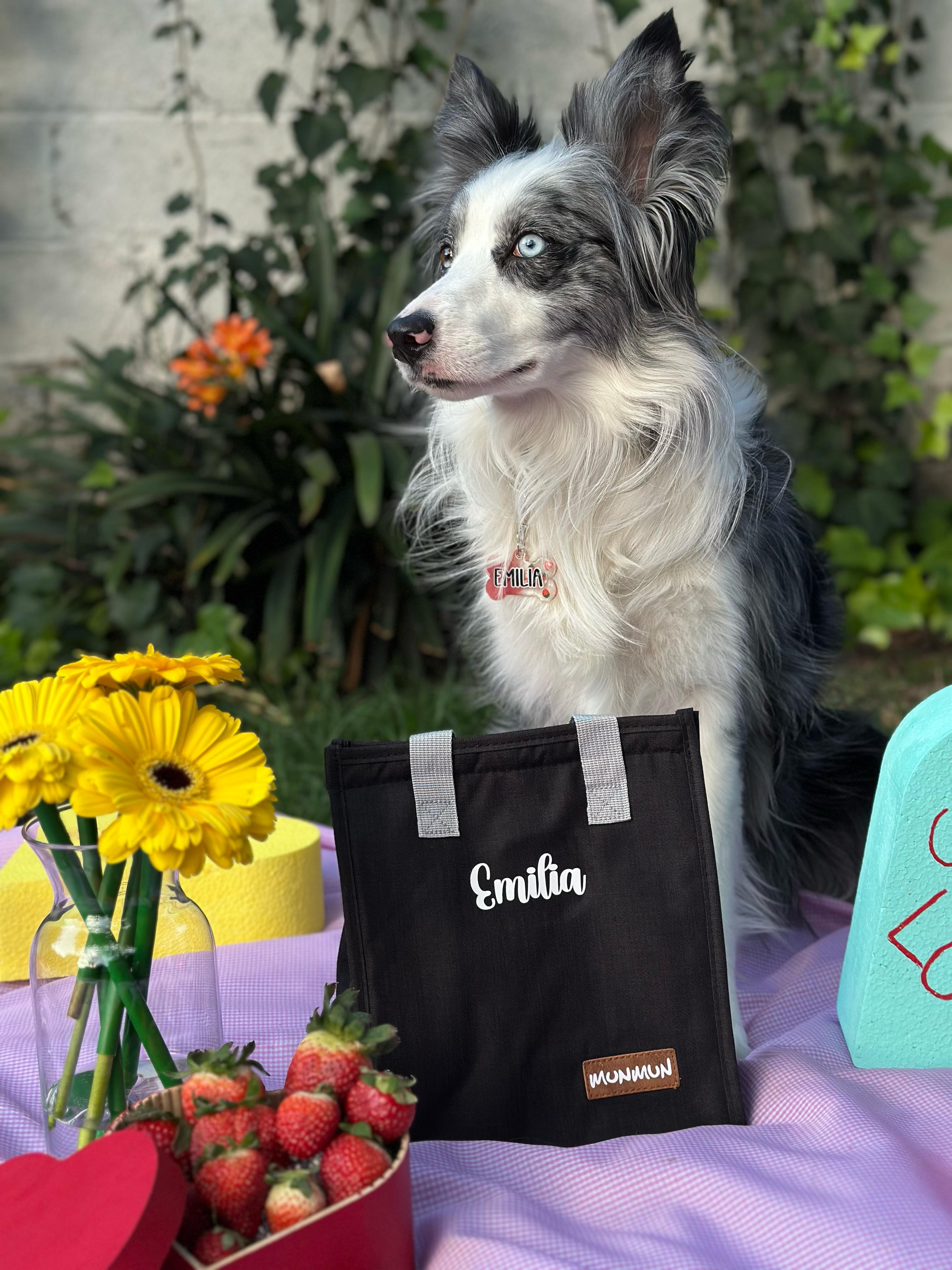 Perro con bolsa personalizada negra con nombre Emilia. Accesorio útil y con estilo.