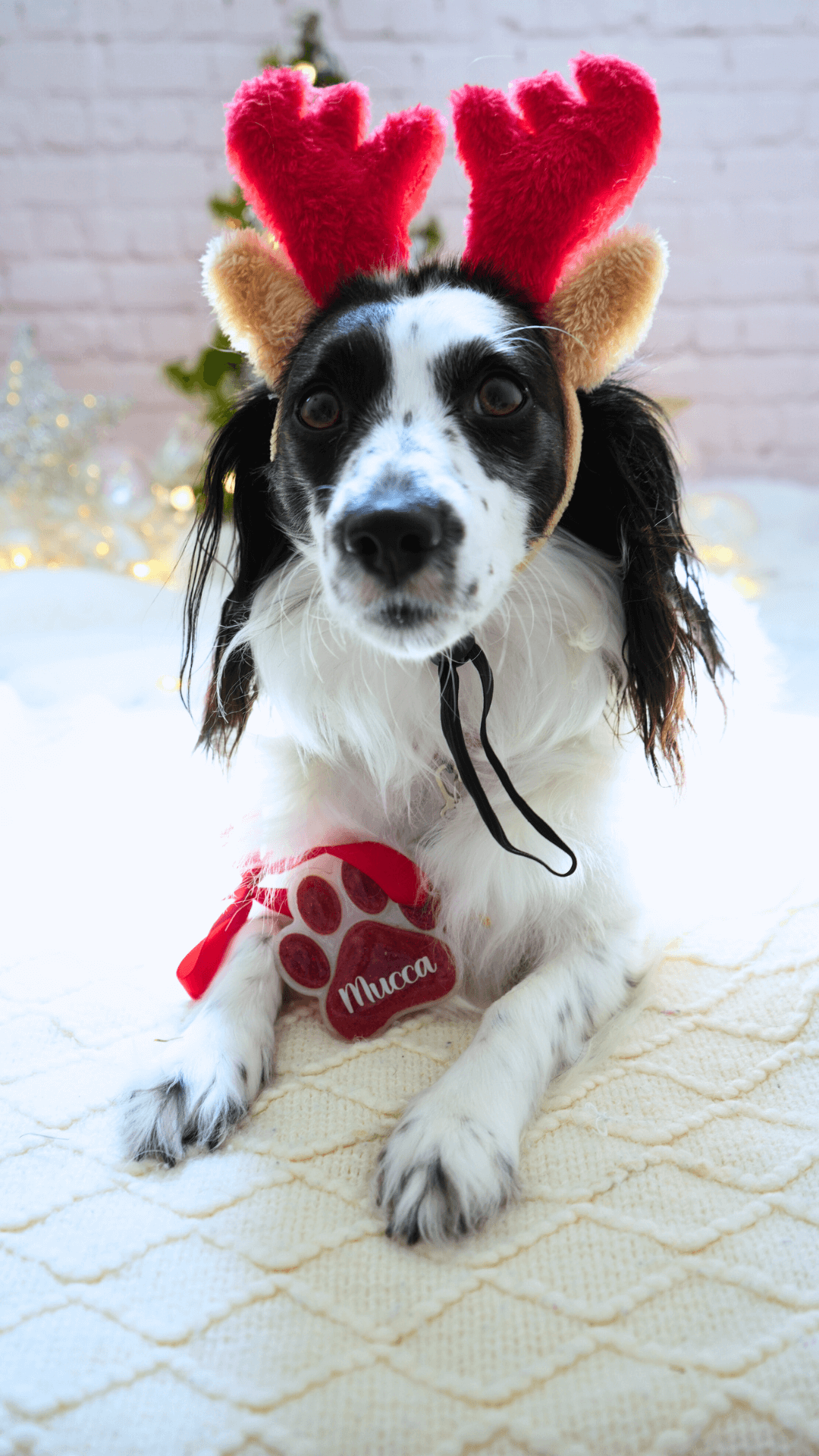 MunXmas Esfera huellita