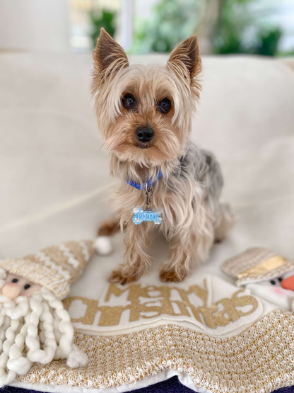 MunXmas Snowflakes figuras