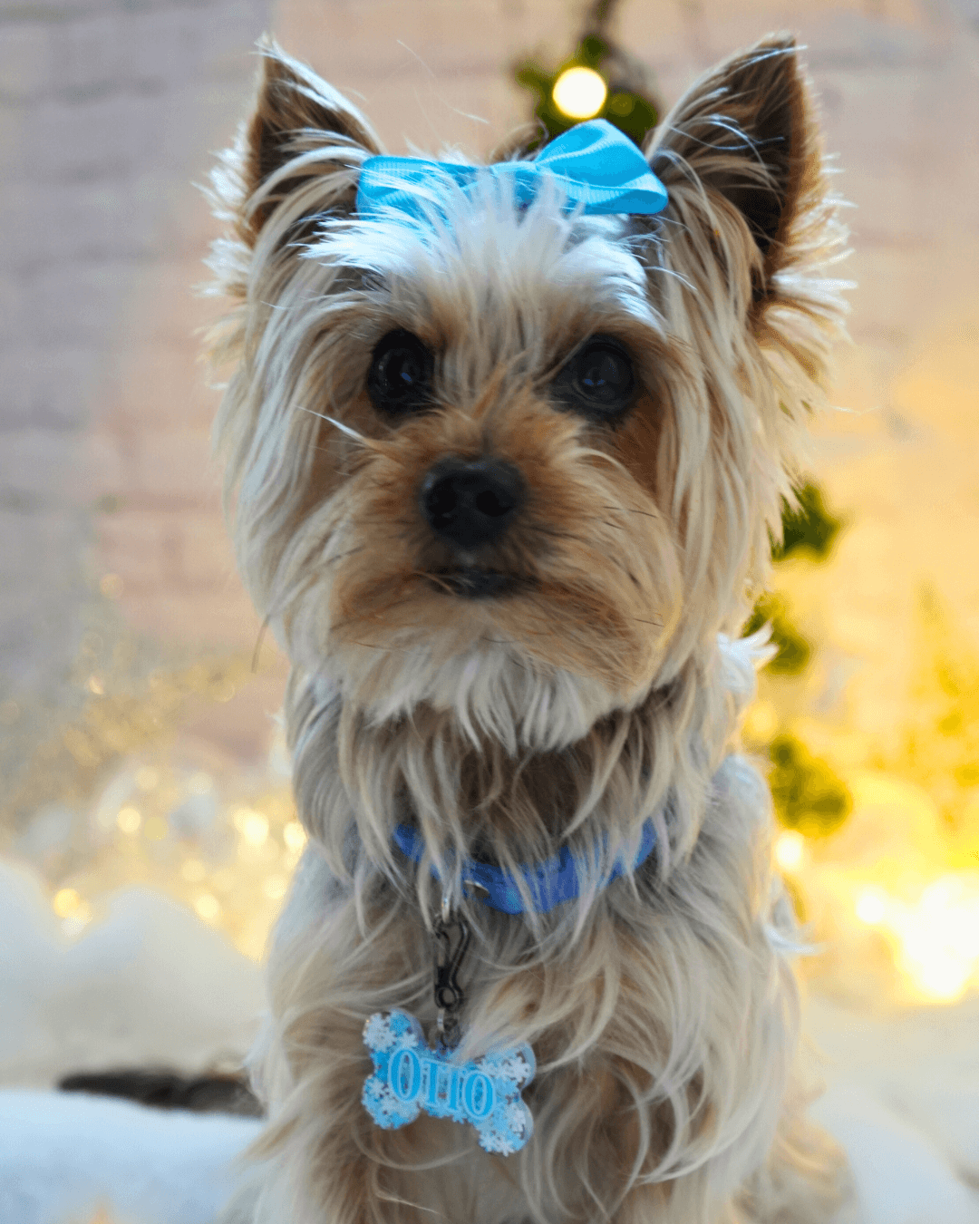 MunXmas Snowflakes figuras