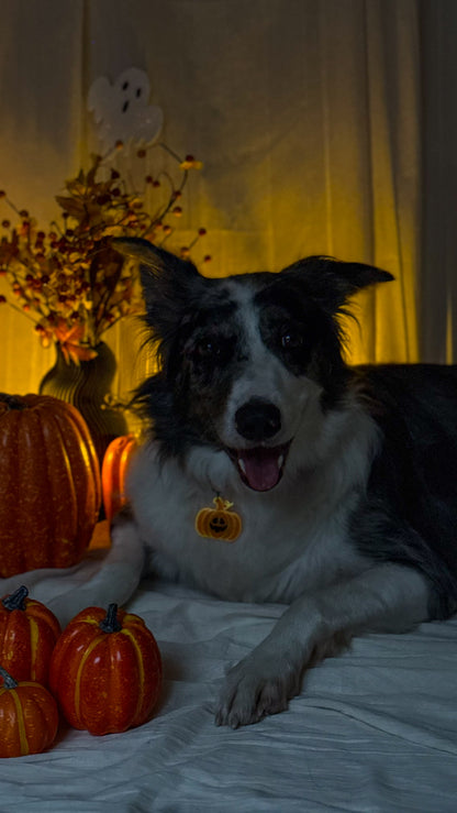 Munlloween Pumpkin