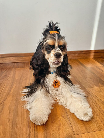 Placa personalizada para perro en forma de balón de basquetbol | Identificación única y deportiva hecha en resina por Munmun | Accesorios para mascotas originales