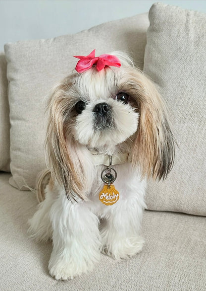 Placa para perro en forma de concha dorada con nombre. Accesorio único y elegante.