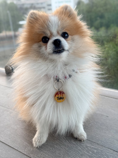 Pomerania con placa amarilla  de waffle personalizada colgando. Diseño vibrante y adorable.