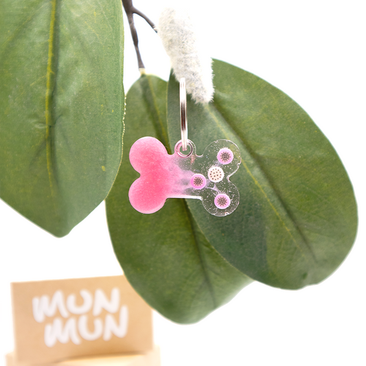 Placa rosa en forma de hueso con pitahaya. 