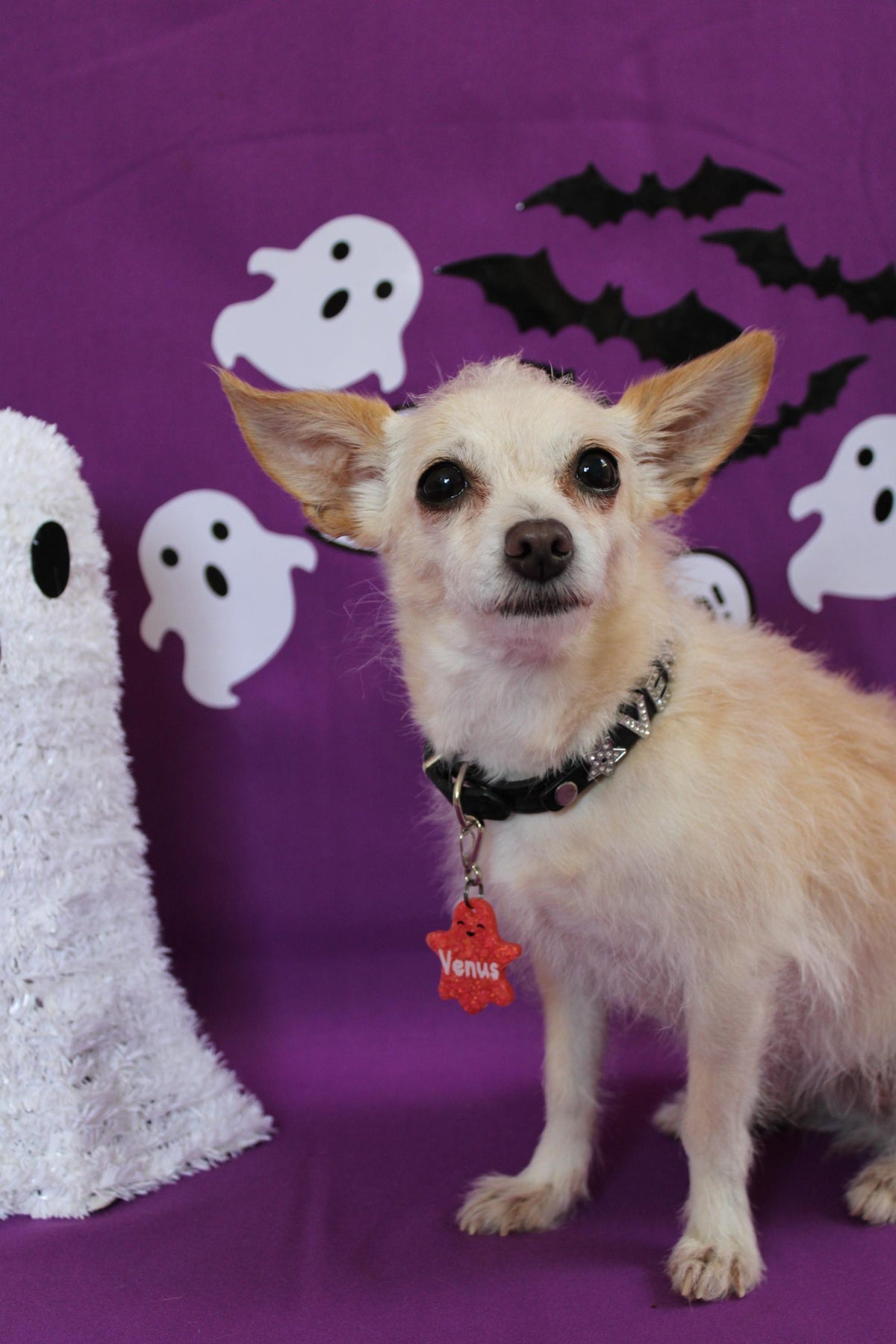 Munlloween Fantasma