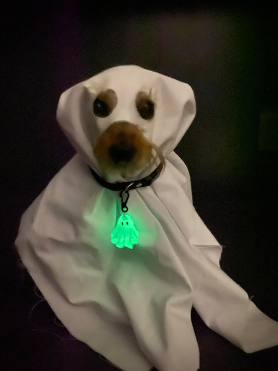 Munlloween Fantasma