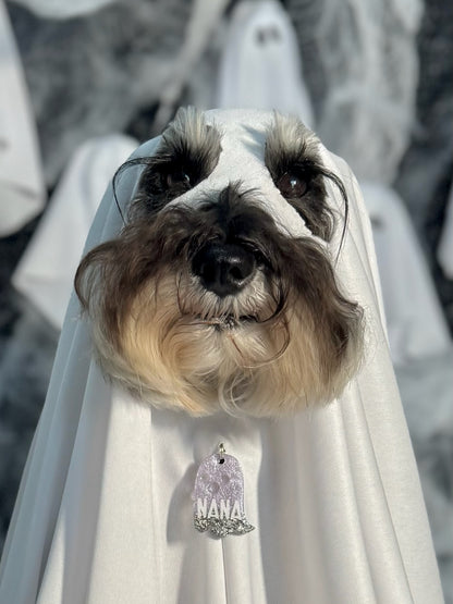 Munlloween Fantasma