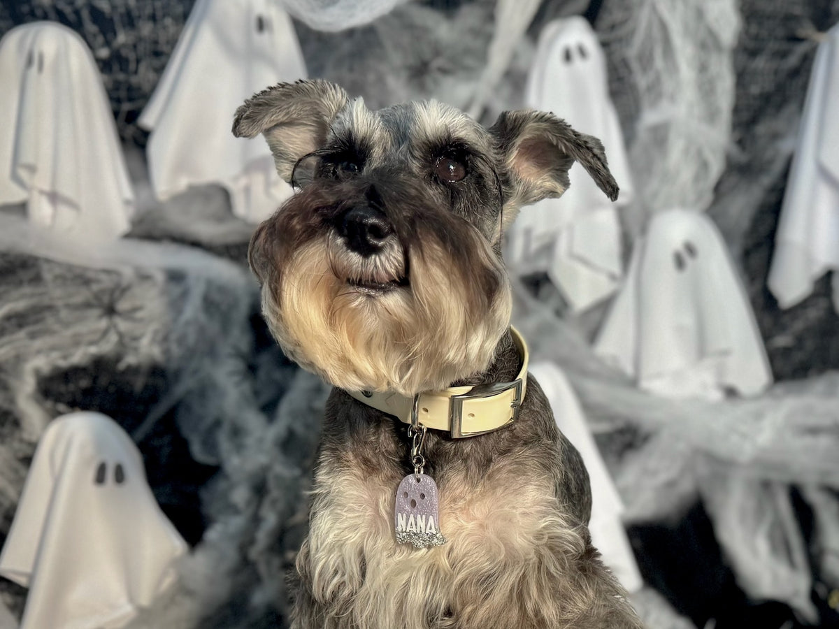 Munlloween Fantasma
