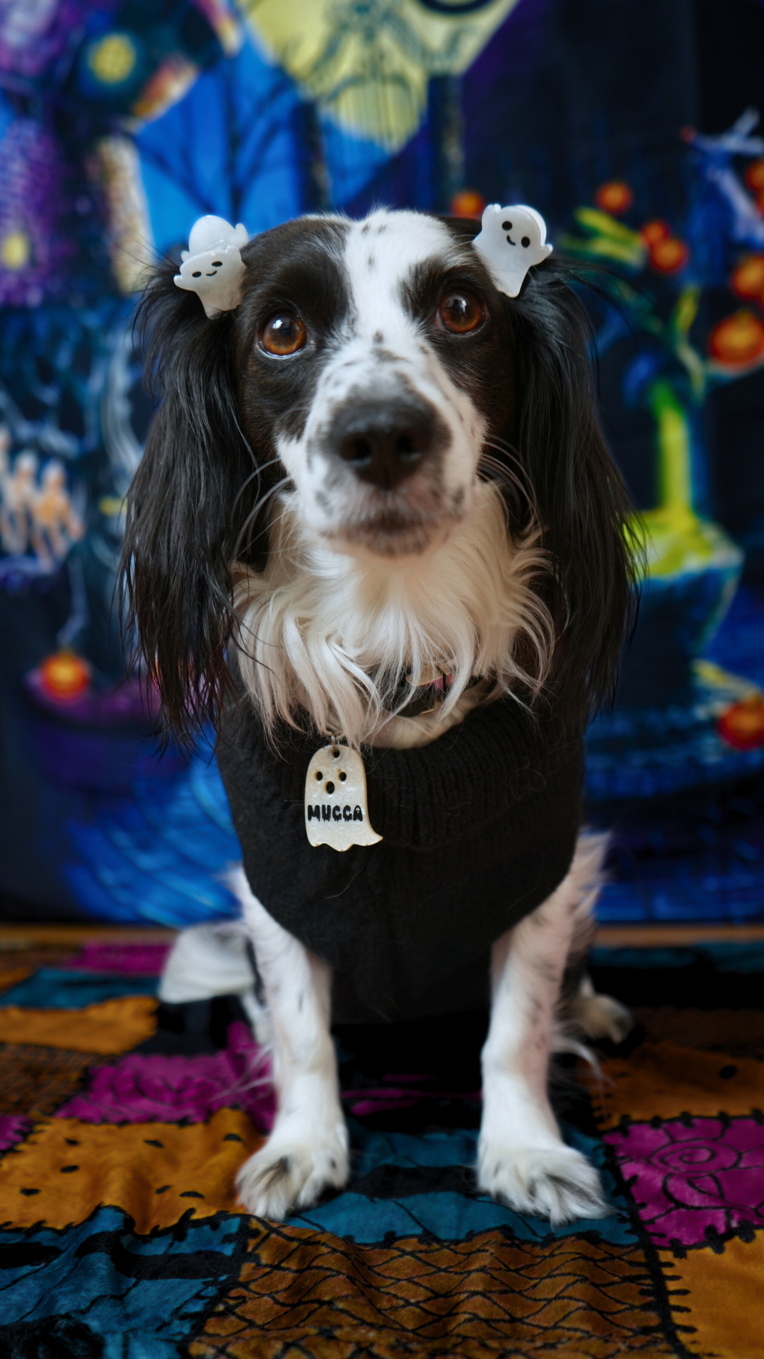 Perro disfrazado con moñitos de fantasma y placa de fantasma blanca con nombre Mucca. Look completo de Halloween.