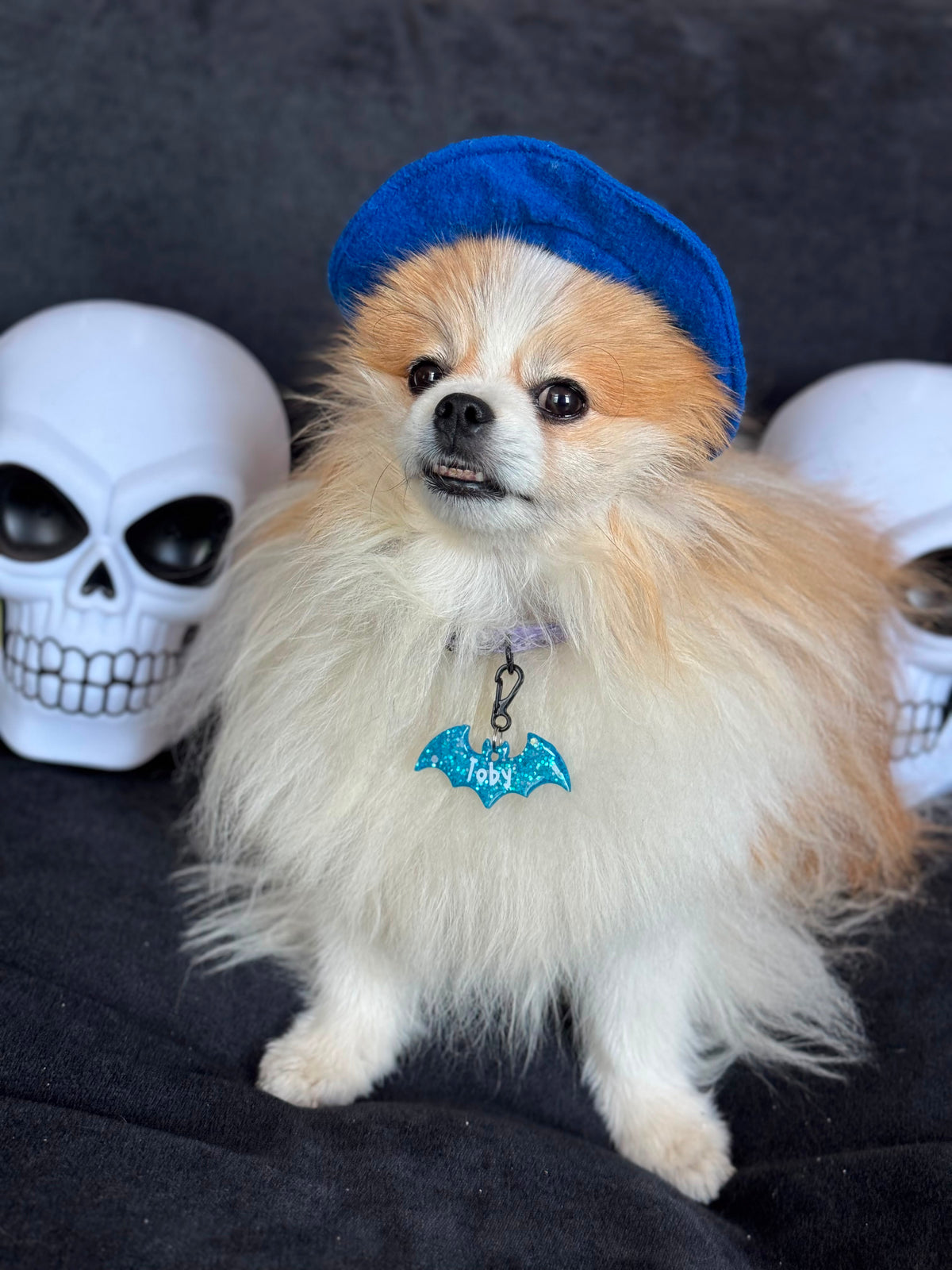 Munlloween Murciélago