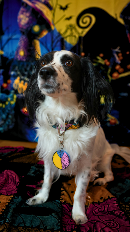 Perro con placa Sally en fondo temático de Halloween. Accesorio divertido y original para la spooky season.